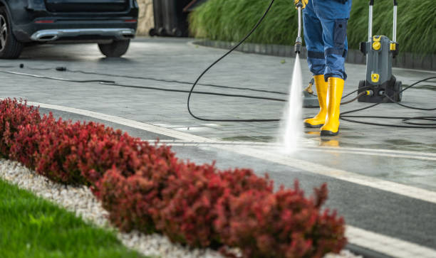 Best Roof Pressure Washing  in Rankin, PA