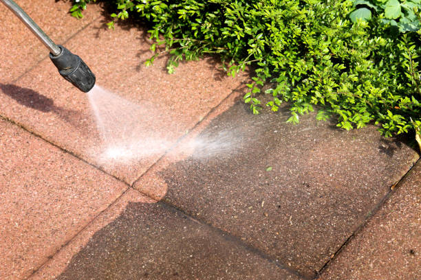 Best House Pressure Washing  in Rankin, PA